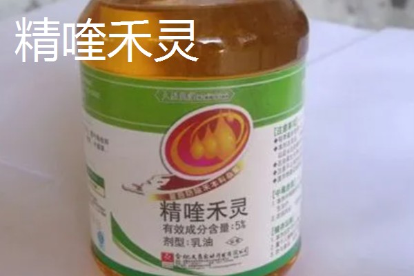 大豆苗后除草剂,推荐精稳杀得、精喹禾灵等
