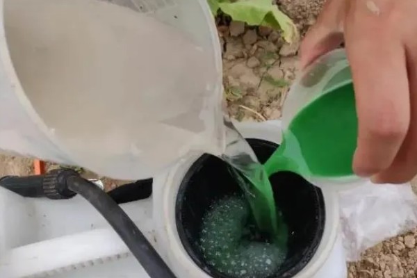 大豆苗后除草剂,推荐精稳杀得、精喹禾灵等