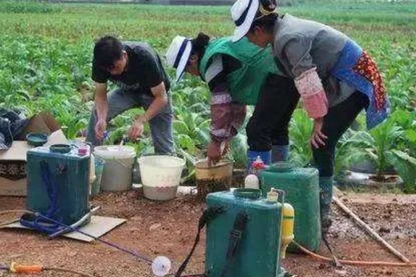 大豆苗后除草剂,推荐精稳杀得、精喹禾灵等