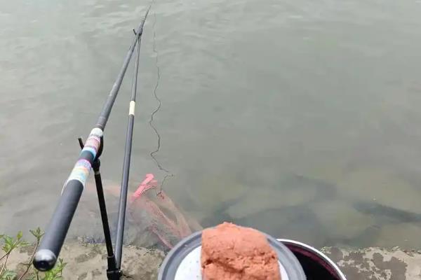 野钓用袖钩还是金海夕钩,二者各有优缺点