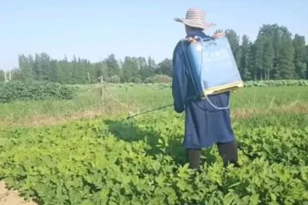 威百亩的亩用量,一亩地用大概用0.37-0.75千克