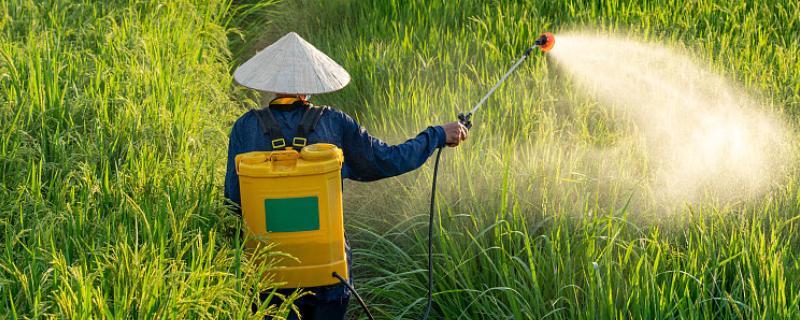 使用陶氏灵斯科除草剂要注意什么，应严格按照推荐剂量用药
