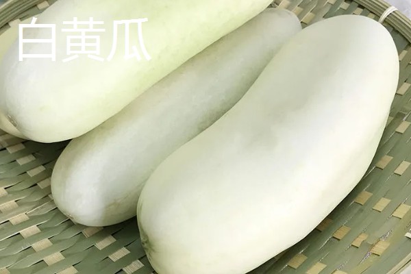 黄瓜的品种介绍，常见的有白黄瓜、青黄瓜等