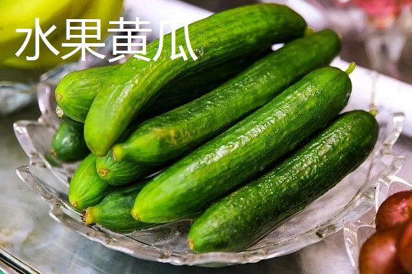 黄瓜的品种介绍，常见的有白黄瓜、青黄瓜等