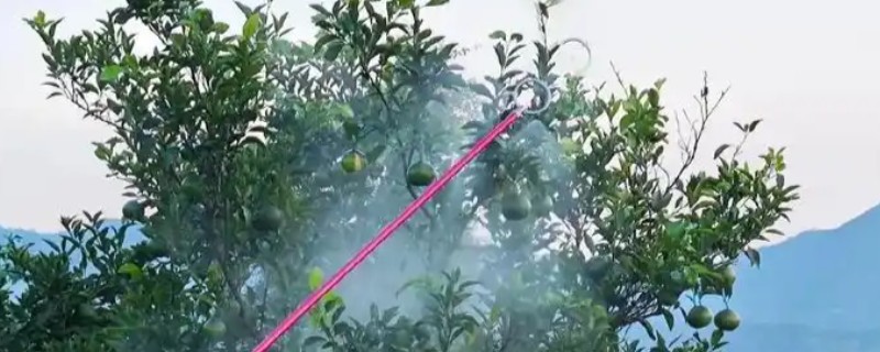 什么药可以防裂果,可选择靓果安中草药杀菌剂