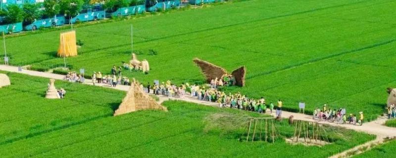 发展家庭农场有什么好处和坏处，可让闲置土地发挥最大效益但政策支持力度小