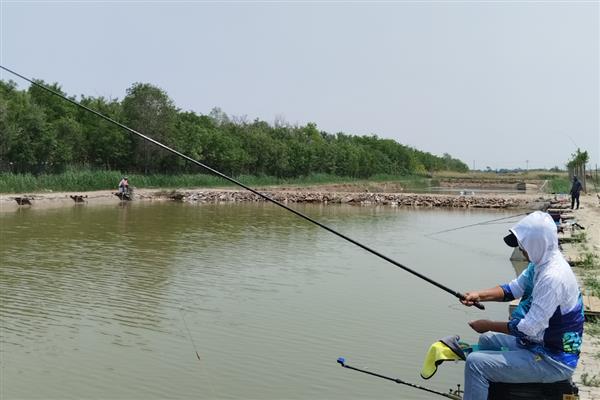 夏季钓鲫鱼的技巧，可选择在水草区、入水口等处作钓
