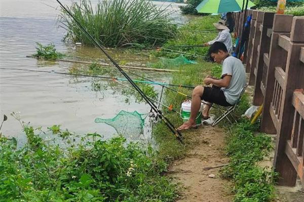 夏季钓鲫鱼的技巧，可选择在水草区、入水口等处作钓