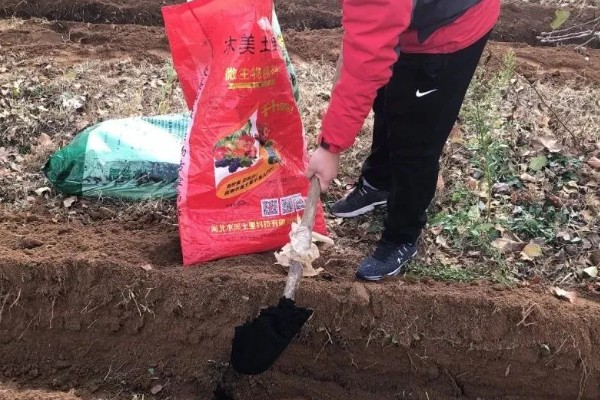 怎样给冬瓜施肥,基肥一般选择腐熟的有机肥