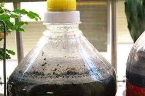 矾肥水如何制作,由硫酸亚铁、粪干等按比例混合