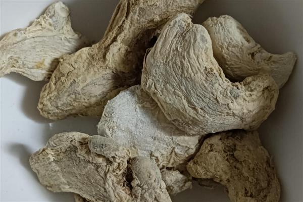 干姜的种植时间，4-5月份种植为佳