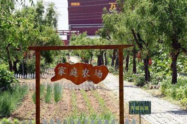 发展家庭农场有什么好处和坏处,可让闲置土地发挥最大效益但政策支持力度小