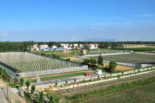 发展家庭农场有什么好处和坏处,可让闲置土地发挥最大效益但政策支持力度小
