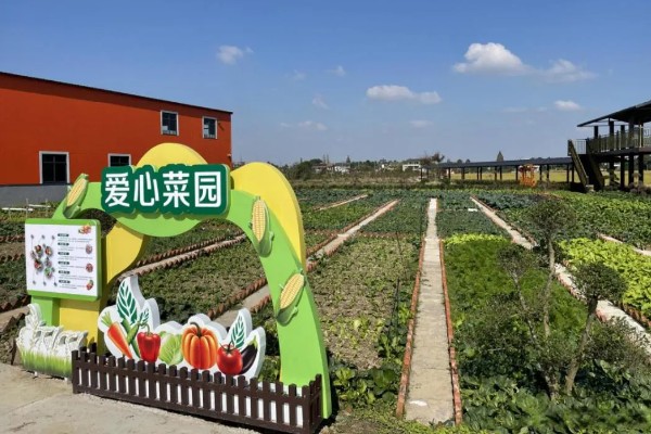 发展家庭农场有什么好处和坏处,可让闲置土地发挥最大效益但政策支持力度小