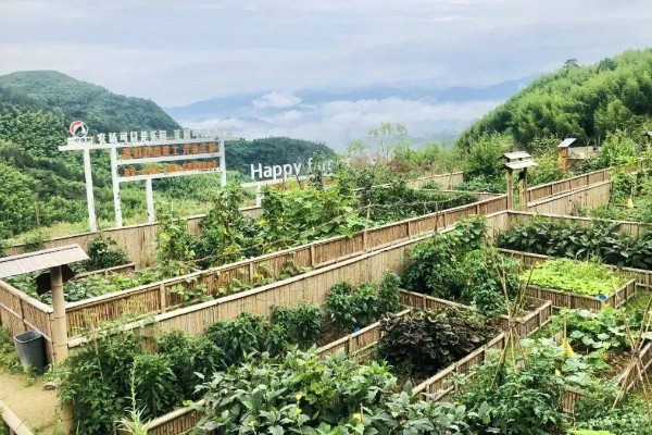 发展家庭农场有什么好处和坏处,可让闲置土地发挥最大效益但政策支持力度小