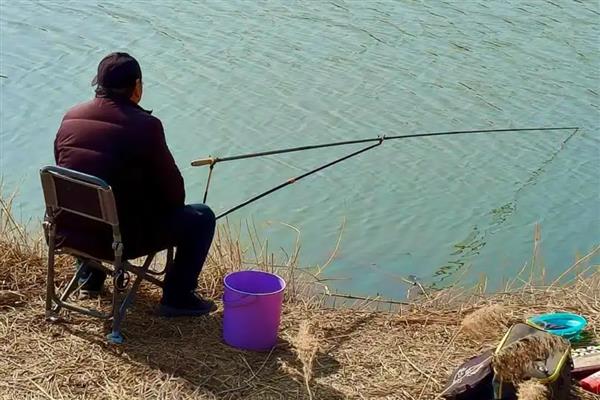 千又钩适合钓哪些鱼,黑鲷、黑鱼、鲶鱼等品种均可垂钓