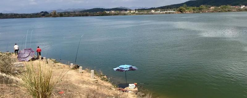 3月份钓鱼是不是钓深，首选有水草的浅滩