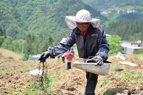 测土配方的施肥技术,土壤测试是重要依据