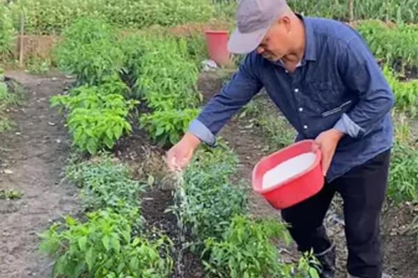 测土配方的施肥技术,土壤测试是重要依据