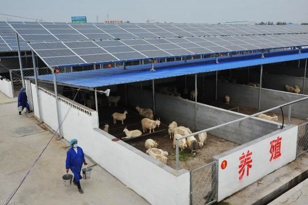 养殖场需要办理的证件,必须办理动物防疫条件合格证