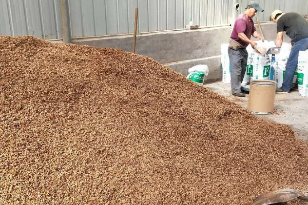 发酵大豆肥料的作用,可以有效改善土质