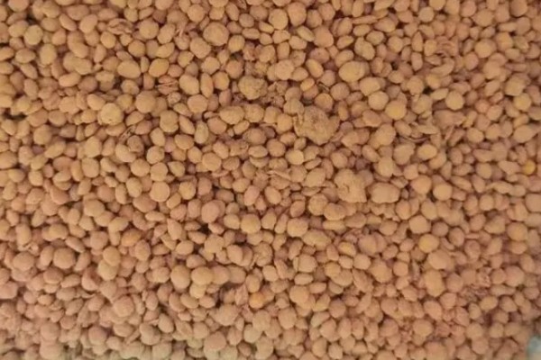 发酵大豆肥料的作用,可以有效改善土质