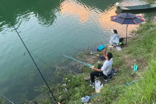 3月份钓鱼是不是钓深,首选有水草的浅滩