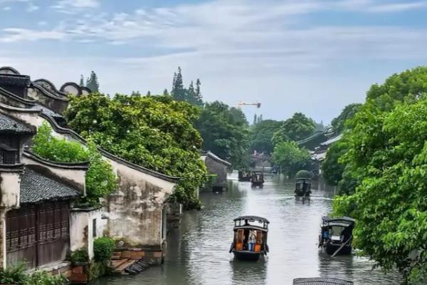 小满节气吃什么,可以吃苦菜、枇杷等