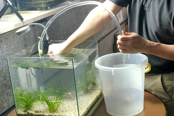 庭院鱼缸冬季如何越冬,埋在土壤中可以保暖