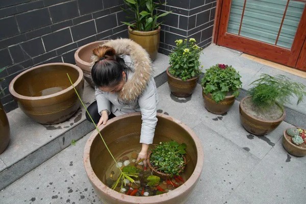 庭院鱼缸冬季如何越冬,埋在土壤中可以保暖