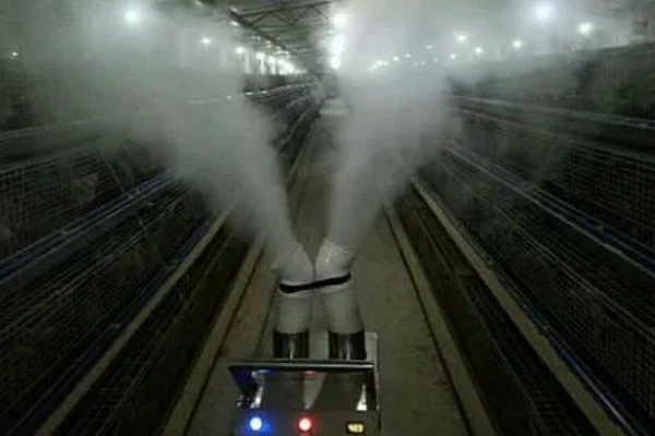 饲养小鸡的方法，破壳后把温度保持在33-35℃左右