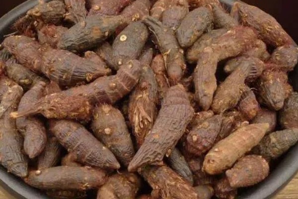香附的收获时间,以春秋季节为宜