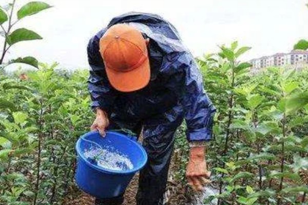 中微量元素肥料的种类，常见铁肥、硼肥、锌肥等类型