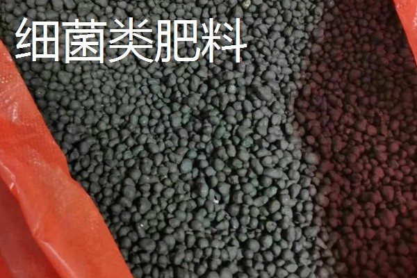 中微量元素肥料的种类，常见铁肥、硼肥、锌肥等类型