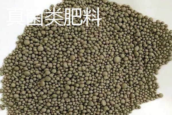 中微量元素肥料的种类，常见铁肥、硼肥、锌肥等类型