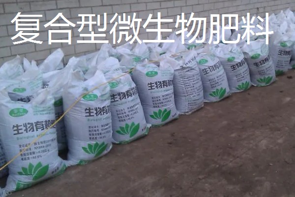 中微量元素肥料的种类，常见铁肥、硼肥、锌肥等类型
