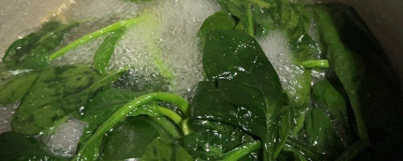 需要焯水的蔬菜,常见香椿、菠菜等品种