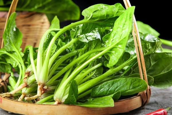 需要焯水的蔬菜,常见香椿、菠菜等品种