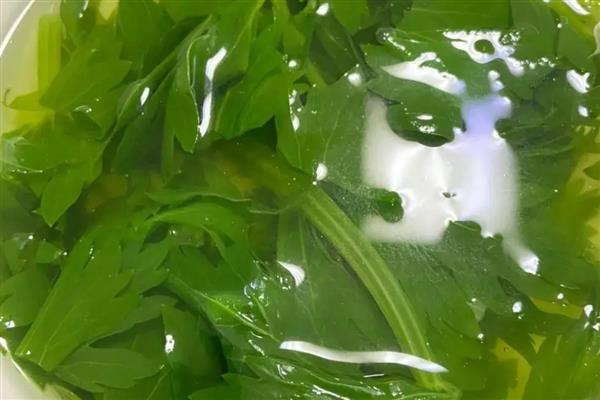 需要焯水的蔬菜,常见香椿、菠菜等品种