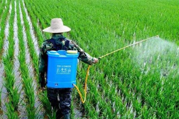 农药冬储禁忌,禁止与化肥和食品放在一起