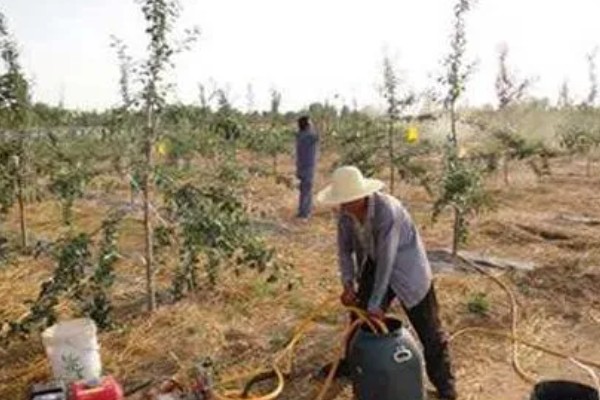 哒螨灵能不能杀卵,对害螨的各个时期都有效