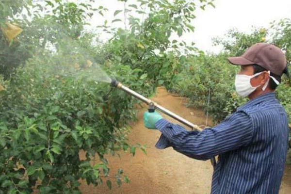 哒螨灵能不能杀卵,对害螨的各个时期都有效