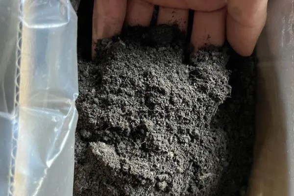 鸽子粪泡水能不能发酵,放入水桶中密封经过30天左右可完成发酵