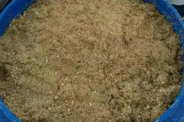 鸽子粪泡水能不能发酵,放入水桶中密封经过30天左右可完成发酵