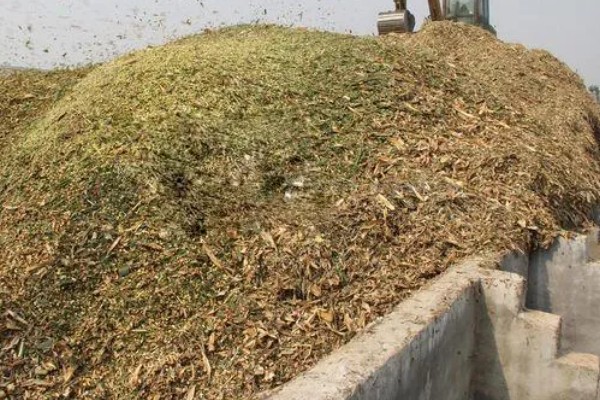 鸽子粪泡水能不能发酵,放入水桶中密封经过30天左右可完成发酵